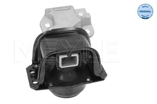 Imagine pentru produsul „SUPORT MOTOR"