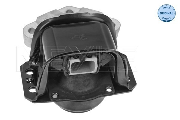 Imagine pentru produsul „SUPORT MOTOR"