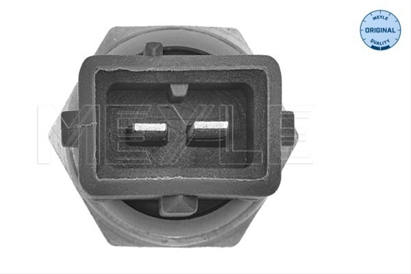 SENZOR TEMPERATURA LICHID DE RACIRE
