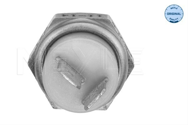 SENZOR TEMPERATURA LICHID DE RACIRE