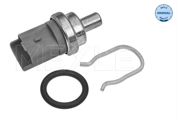 SENZOR TEMPERATURA LICHID DE RACIRE