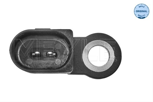 SENZOR TEMPERATURA LICHID DE RACIRE
