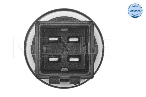 SENZOR TEMPERATURA LICHID DE RACIRE