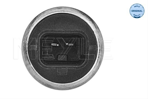 SENZOR TEMPERATURA LICHID DE RACIRE