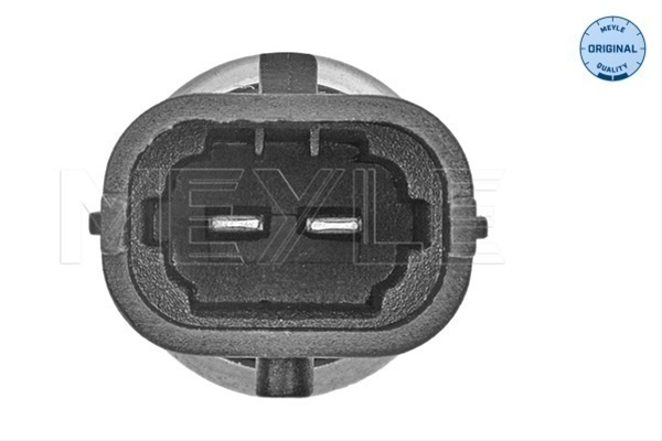 SENZOR TEMPERATURA LICHID DE RACIRE