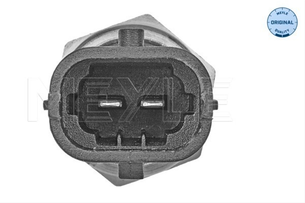 SENZOR TEMPERATURA LICHID DE RACIRE
