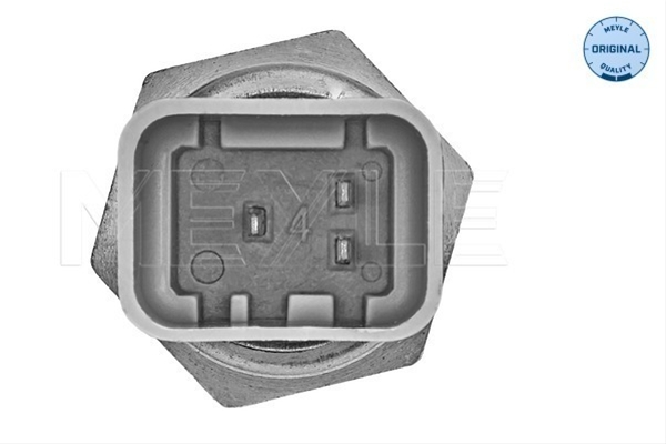 SENZOR TEMPERATURA LICHID DE RACIRE