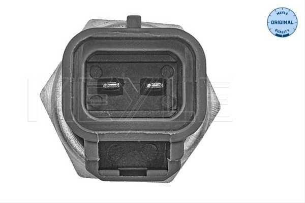 SENZOR TEMPERATURA LICHID DE RACIRE