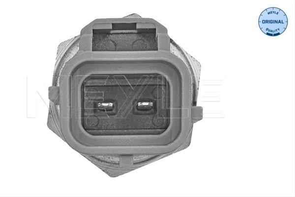 SENZOR TEMPERATURA LICHID DE RACIRE