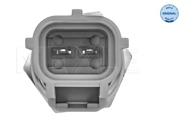 SENZOR TEMPERATURA LICHID DE RACIRE