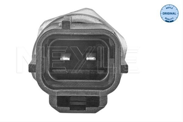 SENZOR TEMPERATURA LICHID DE RACIRE