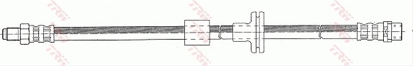 FURTUN FRANA