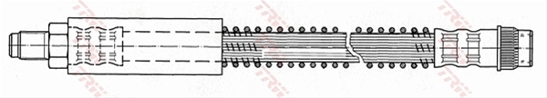 FURTUN FRANA
