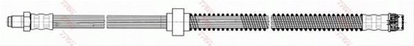 FURTUN FRANA