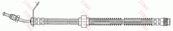 FURTUN FRANA