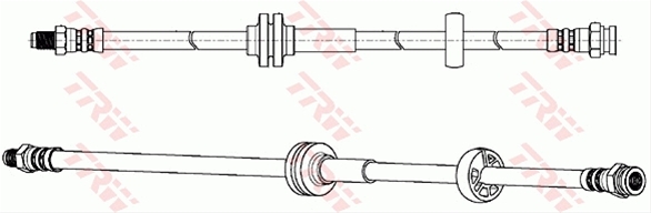 FURTUN FRANA