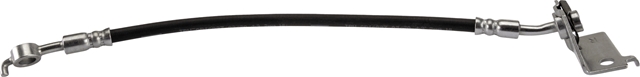 FURTUN FRANA