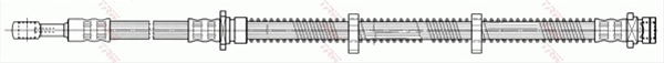 FURTUN FRANA