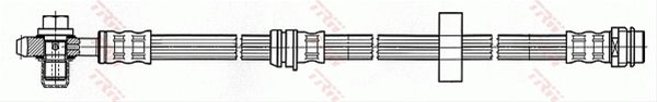 FURTUN FRANA