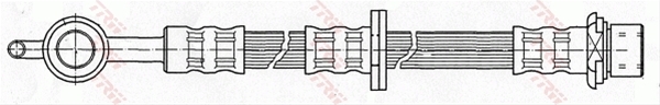 FURTUN FRANA