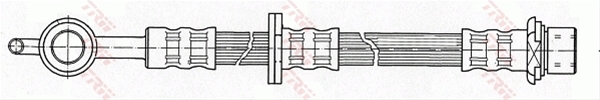 FURTUN FRANA