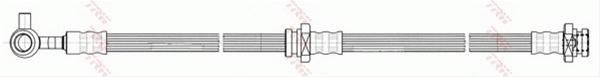 FURTUN FRANA