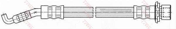 FURTUN FRANA