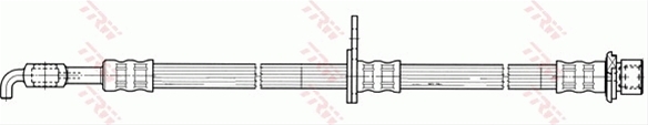 FURTUN FRANA