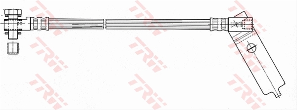 FURTUN FRANA