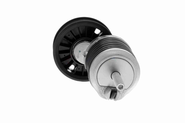 INTINZATOR CUREA, CUREA DISTRIBUTIE