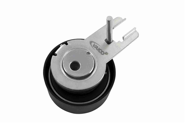 ROLA INTINZATOR,CUREA DISTRIBUTIE