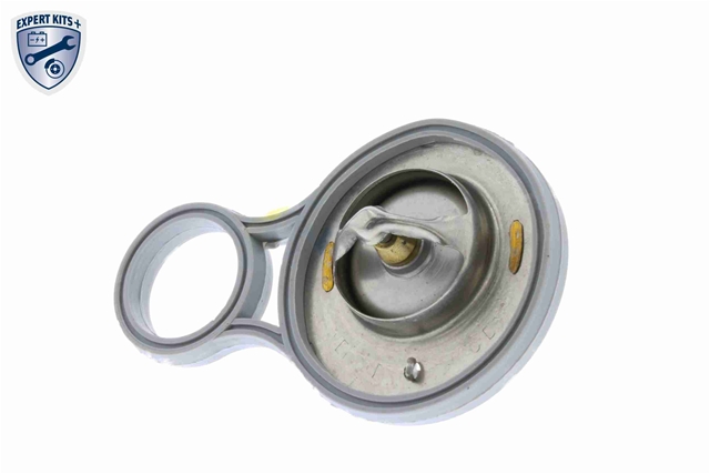 TERMOSTAT,LICHID RACIRE