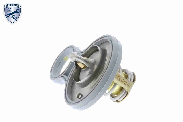 TERMOSTAT,LICHID RACIRE