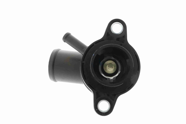TERMOSTAT,LICHID RACIRE