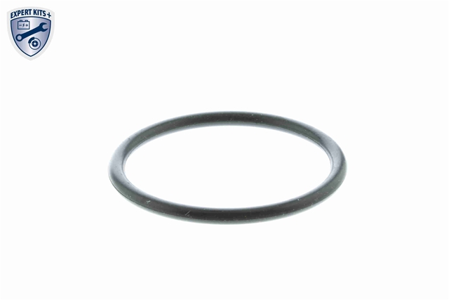 TERMOSTAT,LICHID RACIRE