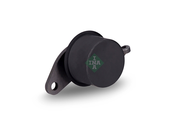 ROLA INTINZATOR,CUREA DISTRIBUTIE