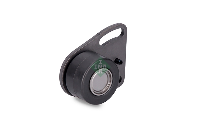 ROLA INTINZATOR,CUREA DISTRIBUTIE