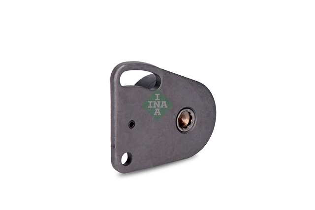 ROLA INTINZATOR,CUREA DISTRIBUTIE