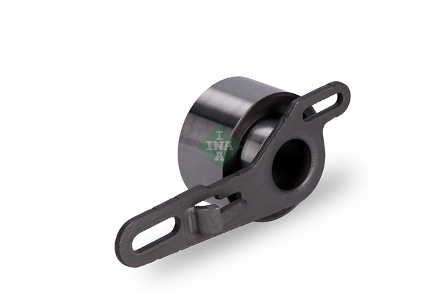 ROLA INTINZATOR,CUREA DISTRIBUTIE