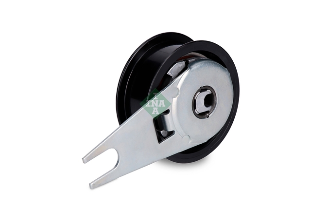ROLA INTINZATOR,CUREA DISTRIBUTIE