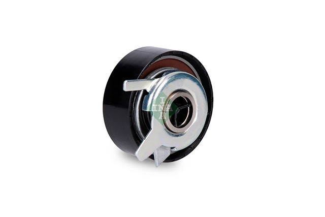 ROLA INTINZATOR,CUREA DISTRIBUTIE