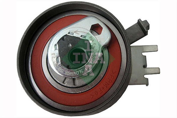 ROLA INTINZATOR,CUREA DISTRIBUTIE