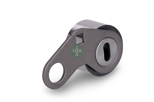 ROLA INTINZATOR,CUREA DISTRIBUTIE