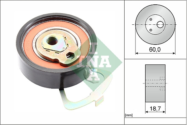 ROLA INTINZATOR,CUREA DISTRIBUTIE