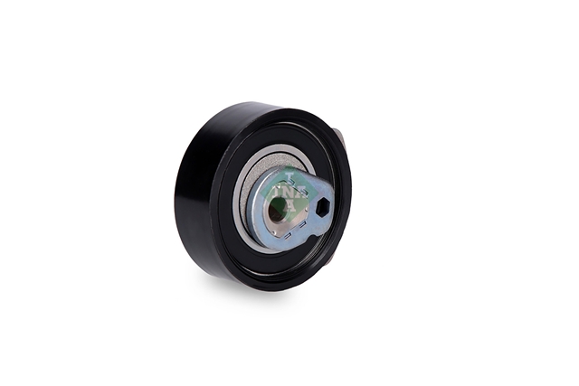 ROLA INTINZATOR,CUREA DISTRIBUTIE