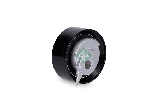 ROLA INTINZATOR,CUREA DISTRIBUTIE