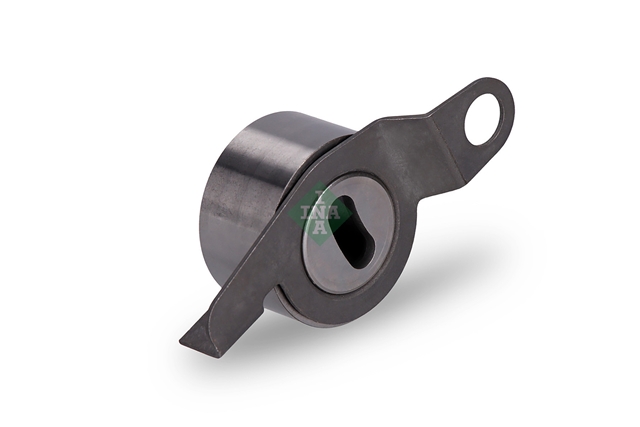 ROLA INTINZATOR,CUREA DISTRIBUTIE