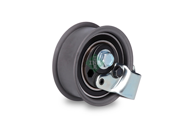 ROLA INTINZATOR,CUREA DISTRIBUTIE