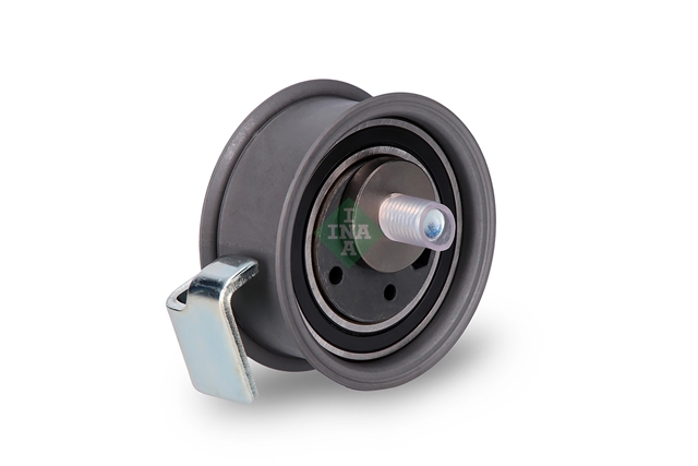 ROLA INTINZATOR,CUREA DISTRIBUTIE