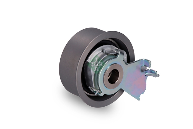 ROLA INTINZATOR,CUREA DISTRIBUTIE